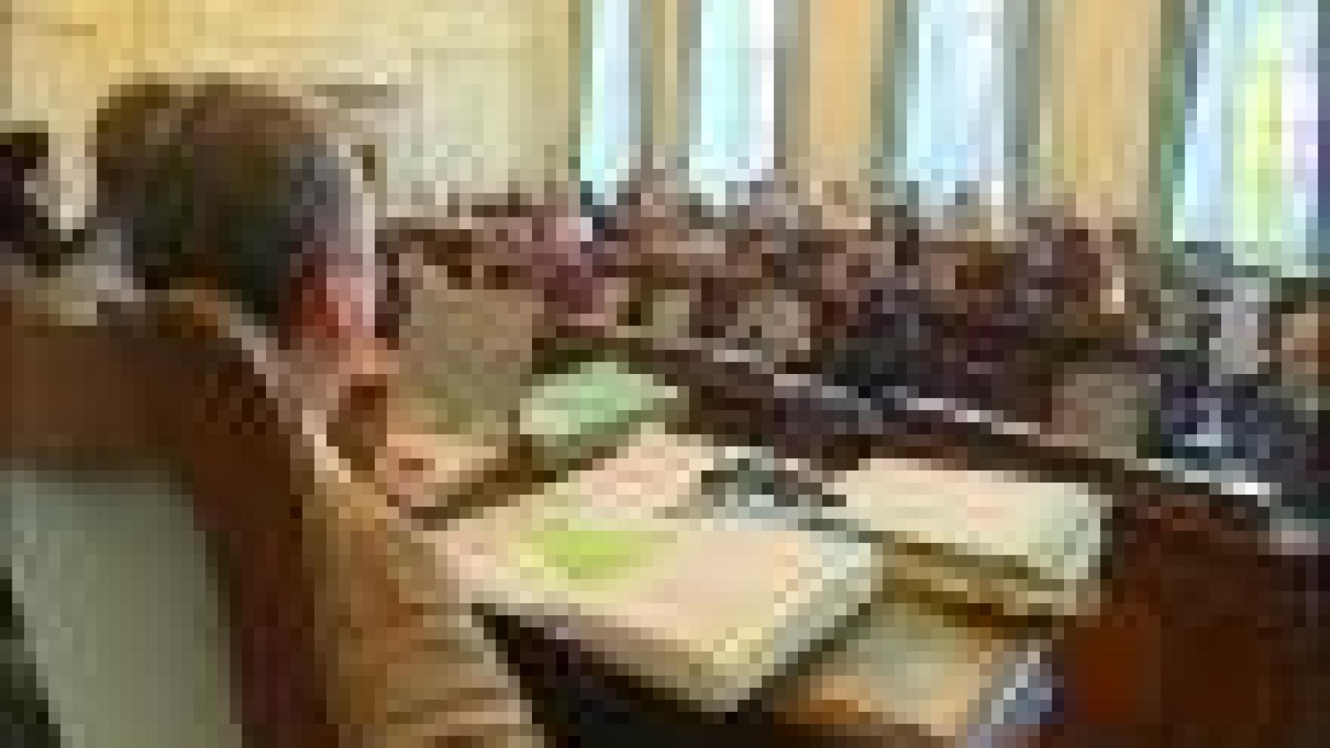 Liège: Interpellation Ecolo sur les expulsions